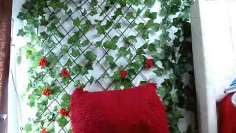 Mia squirt big INDEPENDENT MODEL...ONLYFANS  online show from December 6, 12:49 pm