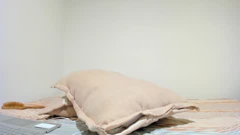 MIA INDEPENDENT MODEL  online show from October 16, 5:03 pm