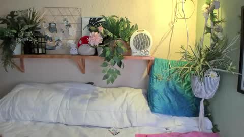 Snapshot of miaa_rose__ chatting on December 20, 7:12 am Miaa online show from December 20, 7:12 am