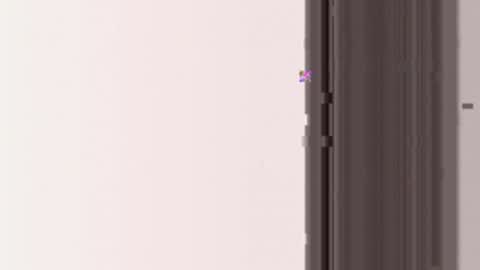 miamifit online show from March 19, 5:11 am