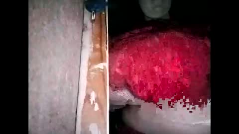 miamooreh online show from March 13, 4:35 pm