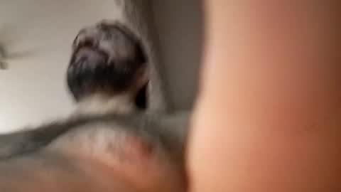 michael666c online show from February 27, 9:00 am