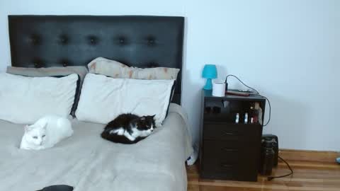 Snapshot of michael_0814 chatting on December 14, 5:02 am Michael Iris online show from December 14, 5:02 am