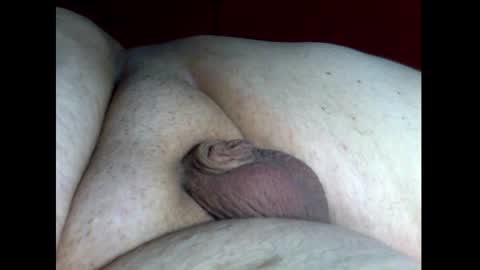 micropimmel online show from December 18, 4:06 pm