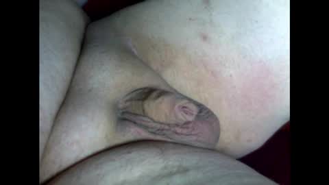 micropimmel online show from February 18, 5:21 pm