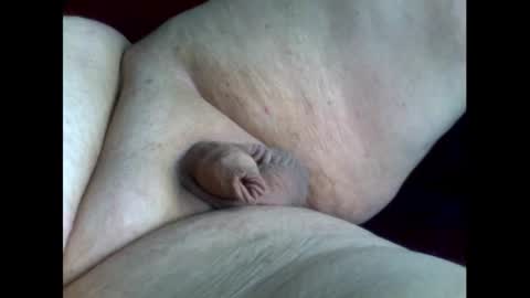 micropimmel online show from September 16, 3:02 pm