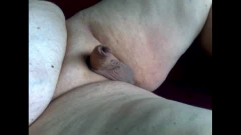 micropimmel online show from October 11, 1:31 pm