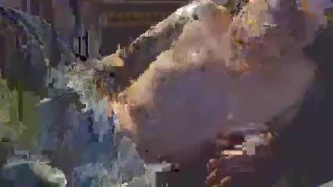 Snapshot of middle123456783939 chatting on September 11, 6:52 pm middle123456783939 online show from September 11, 6:52 pm