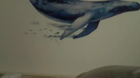 Snapshot of midhir chatting on February 27, 2:43 pm kike online show from February 27, 2:43 pm