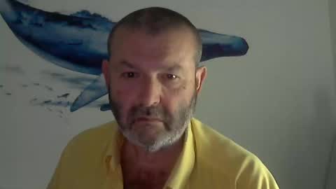 Snapshot of midhir chatting on March 10, 2:48 pm kike online show from March 10, 2:48 pm