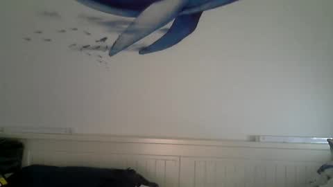 Snapshot of midhir chatting on December 4, 2:48 pm kike online show from December 4, 2:48 pm