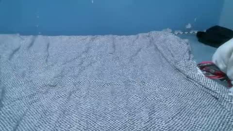 Caddy online show from April 21, 7:17 pm