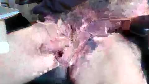 Snapshot of mikefun4711 chatting on October 28, 8:29 am mikefun4711 online show from October 28, 8:29 am