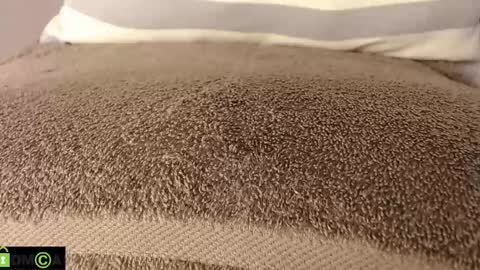 Snapshot of mikell_williams10 chatting on March 11, 8:53 pm Mikell Williams online show from March 11, 8:53 pm