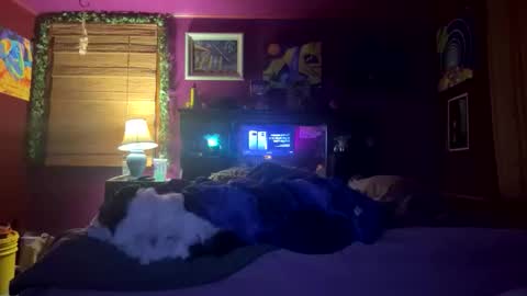 mil8207 online show from December 17, 5:57 am