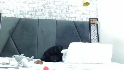 mila_adamss online show from January 16, 5:01 pm