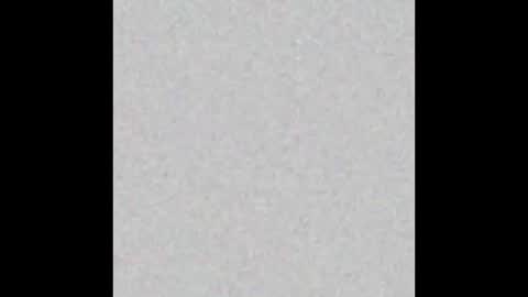 milehighcock5280 online show from October 31, 10:27 am