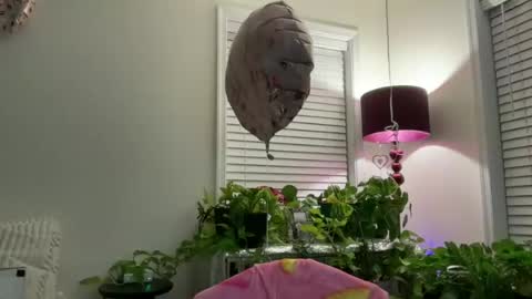 MIlf Goddess online show from July 13, 2:36 am