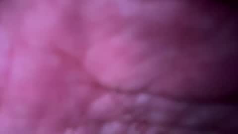 milff33 online show from May 15, 11:06 am