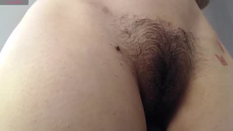 Snapshot of milker_amira chatting on February 25, 4:31 pm Amira online show from February 25, 4:31 pm