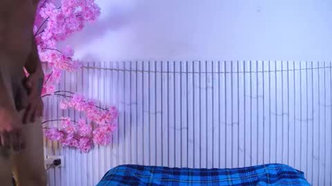 Mirandatroy online show from December 2, 7:53 pm