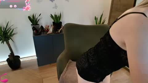 Mirela online show from August 2, 3:16 am