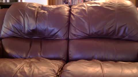 misohoney007 online show from April 11, 12:42 pm