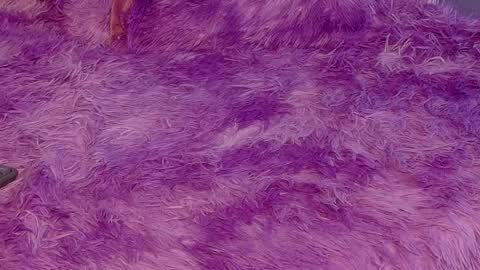 miss__jones_ online show from April 6, 4:52 pm