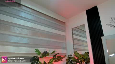 Catalina online show from April 6, 11:44 am