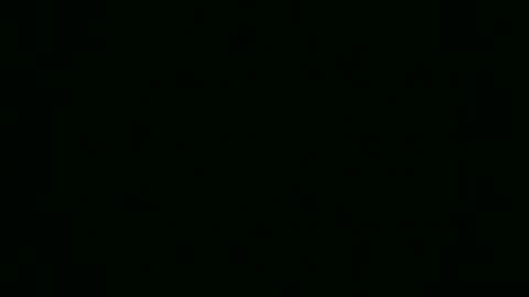 Elis online show from November 13, 3:55 pm