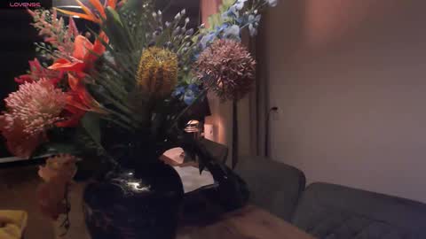 Miss conly online show from January 16, 8:13 pm