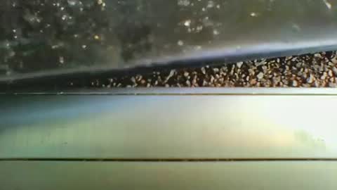 missdarkmatter69 online show from December 19, 8:49 pm