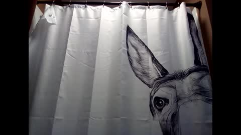 MissEeva online show from December 5, 6:44 pm