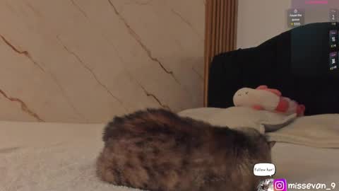 Sami Evan online show from April 22, 12:39 pm