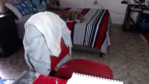 Snapshot of missgomezz_ chatting on February 2, 5:33 pm Maria Gomezz online show from February 2, 5:33 pm