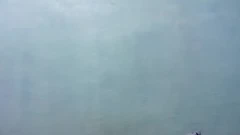 Merry online show from November 8, 8:14 am