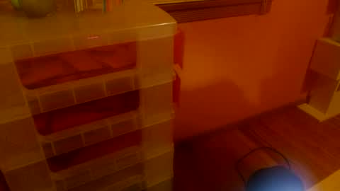 MissKittyFox online show from June 25, 4:56 am