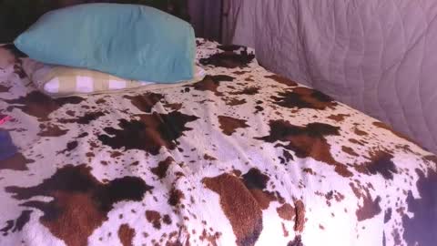 Snapshot of missnewxxx chatting on November 12, 2:23 am Anastacia online show from November 12, 2:23 am