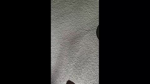 mister_nasty online show from October 3, 9:56 pm