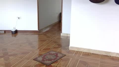 misternocturne online show from April 20, 5:59 pm