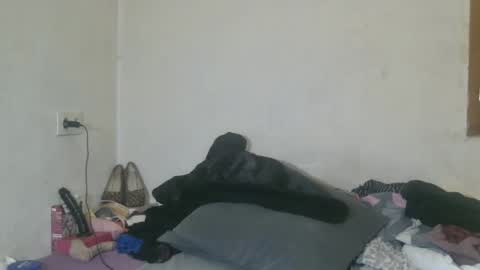 mistressmilly32 online show from March 24, 10:20 am