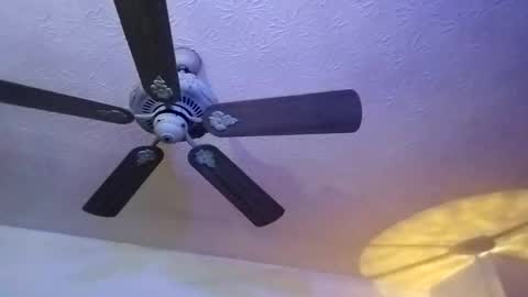 BobbyMitchGa online show from February 12, 12:44 pm