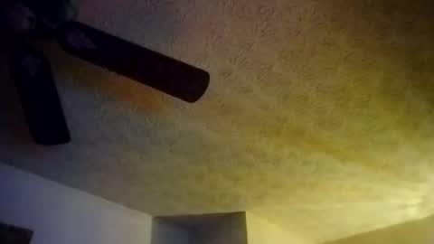 BobbyMitchGa online show from September 25, 10:19 am