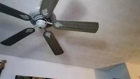 BobbyMitchGa online show from September 27, 12:10 pm