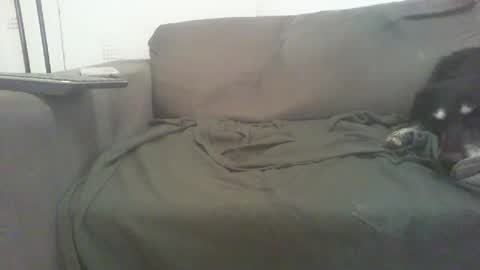 Snapshot of mixandflair chatting on December 22, 8:47 pm mixandflair online show from December 22, 8:47 pm