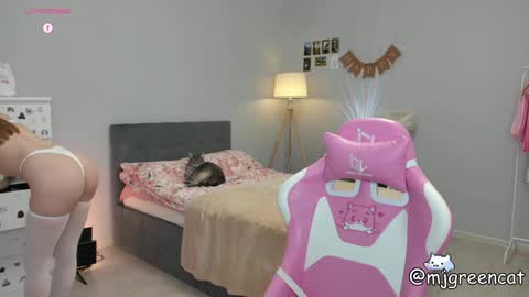 Snapshot of mjgreencat chatting on January 27, 4:43 pm mj online show from January 27, 4:43 pm