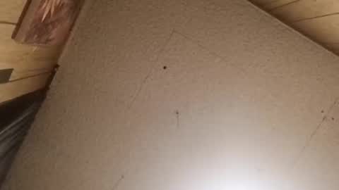 Snapshot of mjmichaelware chatting on February 24, 6:55 am mjmichaelware online show from February 24, 6:55 am