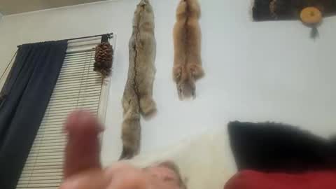 cum show j online show from March 3, 2:04 am