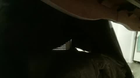 mmrstp online show from January 26, 12:01 pm