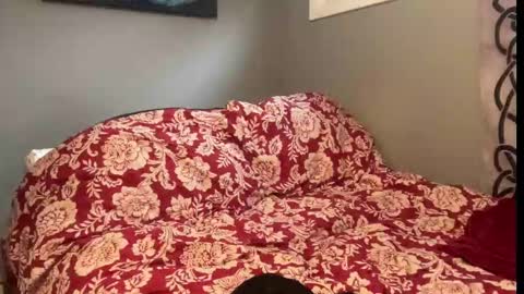 MNTuiLa online show from September 9, 12:59 pm